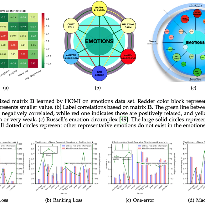 Multi-label Classification with High-rank and High-order Label Correlations