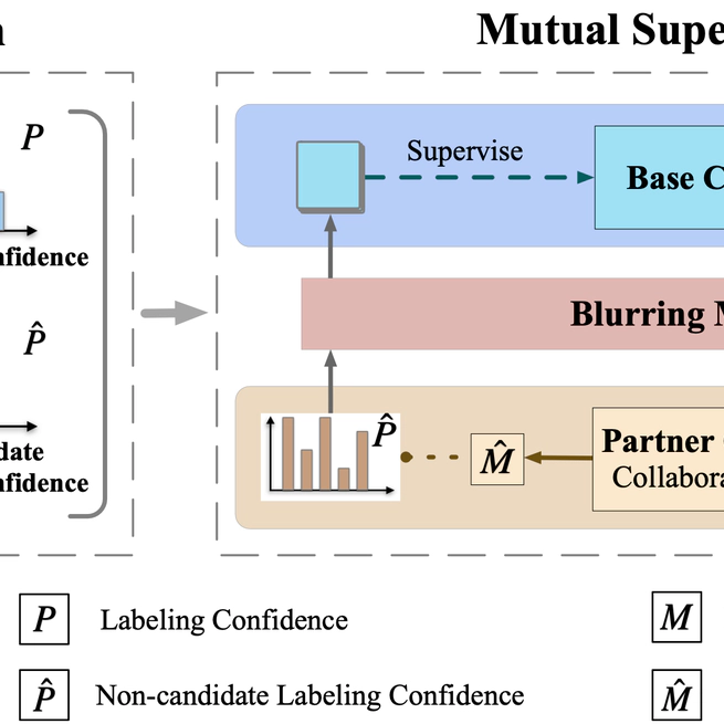 Partial Label Learning with a Partner